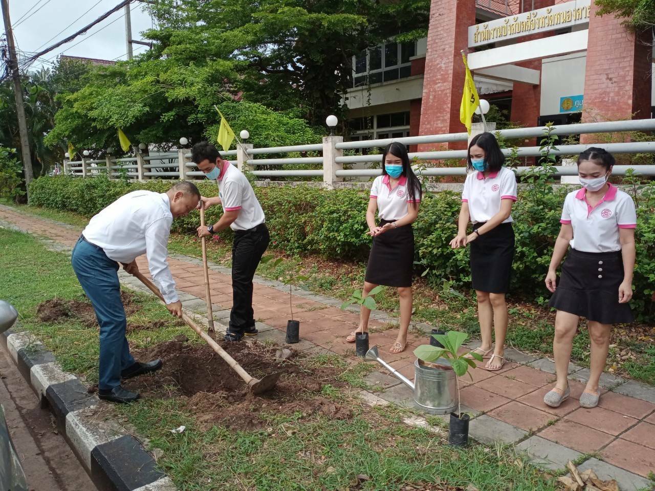﻿สำนักงานบังคับคดีจังหวัดหนองคาย จัดกิจกรรมปลูกต้นไม้ประจำปีของชาติ
